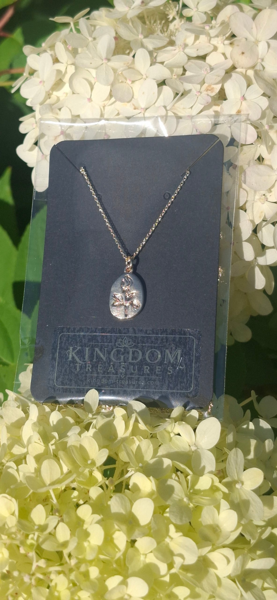 Kingdom Treasures silver pendant necklace on branded packaging